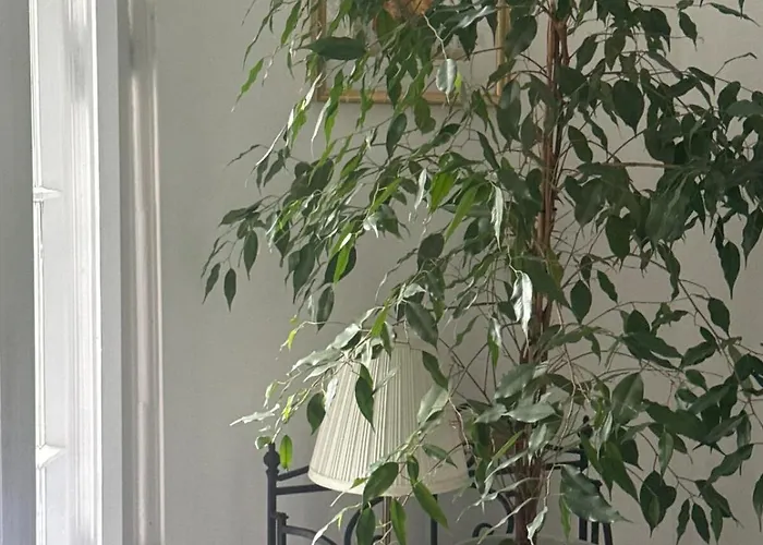 アパート Romantic And Cozy シュチェチン